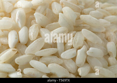 Riz Risotto Carnaroli italien close up full frame Banque D'Images