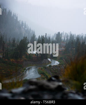 Voiture roulant sur route sinueuse dans une forêt de brouillard brumeux profondément dans les montagnes du nord-ouest du Pacifique Banque D'Images