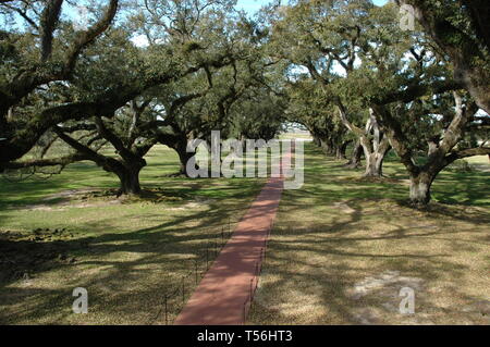 Vacherie, Louisiane, USA - 2019 : la plantation d'Oak Alley est un bâtiment historique situé sur la rive ouest du Mississippi. Banque D'Images