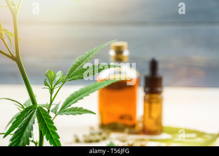 Le cannabidiol CBD clair capsules et l'huile de cannabis sur toile en bois Banque D'Images