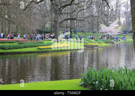 Le Keukenhof, jardin de l'Europe Banque D'Images