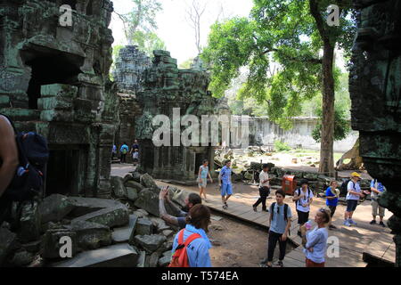 Ta Som à Angkor Wat Banque D'Images