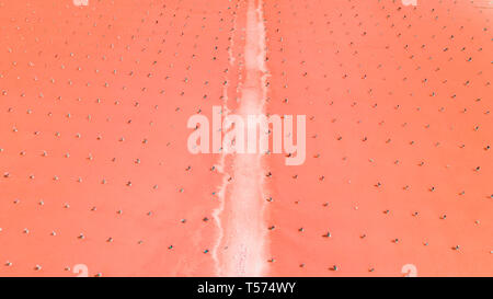 Paysage insolite de couleur corail. Baskunchak le lac, Russie Banque D'Images