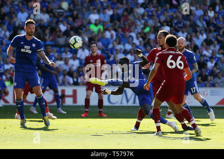 Cardiff, Royaume-Uni. Apr 21, 2019. Oumar Niasse de Cardiff City (centre) a un tir au but. Premier League match, Cardiff City v Liverpool au Cardiff City Stadium le dimanche 21 avril 2019. Cette image ne peut être utilisé qu'à des fins rédactionnelles. Usage éditorial uniquement, licence requise pour un usage commercial. Aucune utilisation de pari, de jeux ou d'un seul club/ligue/dvd publications. Photos par Andrew Andrew/Verger Verger la photographie de sport/Alamy live news Crédit : Andrew Orchard la photographie de sport/Alamy Live News Banque D'Images