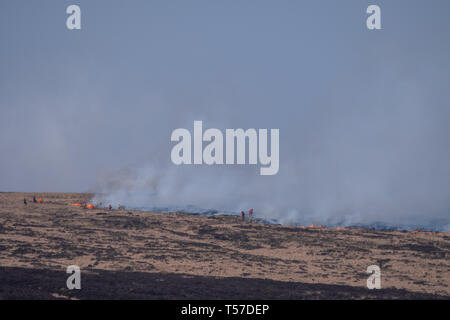 Marsden Moor, Bellevue, au Royaume-Uni. Le 22 avril 2019. Les pompiers de Manchester et le West Yorkshire à l'emplacement d'une lande le feu sur Marsden Moor, Bellevue, West Yorkshire le lundi 22 avril, 2019. L'incendie a été pensé pour avoir été commencé par un barbecue. Crédit : Christopher Middleton/Alamy Live News Banque D'Images