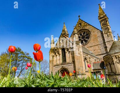 Edinburgh, Royaume-Uni. 22 avr, 2019. Tulipes fleurs en face de l'Mansfield Traquair qu'Edinburgh jouit de Pâques de rupture record Crédit : sunshine Dyson riche/Alamy Live News Banque D'Images