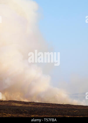 Marsden Moor Estate, Huddersfield, UK. 22 avril, 2019. La Lande de feu près de l'humidité sur vert mousse près, l'un d'une série d'incendies de unseasonal en raison d'un printemps sec et chaud. Credit : M Kyle/Alamy Live News Banque D'Images