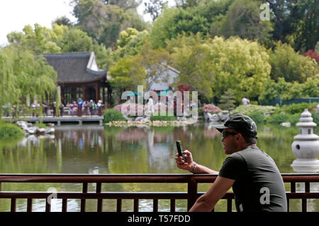 Los Angeles, USA. Apr 21, 2019. Un homme visite le jardin chinois Liu Fang Yuan dans le Huntington Library, Art Collections and Botanical Gardens à Los Angeles, aux États-Unis, le 21 avril 2019. Inspiré par les jardins chinois de Suzhou, une ville chinoise réputée pour ses anciens jardins, Liu Fang Yuan, ou le jardin de couler de parfum, est l'un des plus grands jardins de style chinois à l'étranger. Le mot "Liu Fang' ou 'parfum', qui se réfère à l'odeur de fleurs et d'arbres, y compris le pin, lotus, prune, et d'autres plantes qui se trouvent ici. Crédit : Li Ying/Xinhua/Alamy Live News