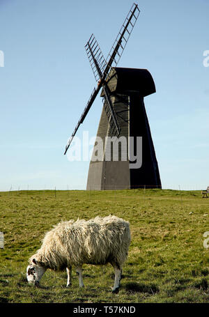 Rottingdean Windmill East Sussex, England UK Banque D'Images