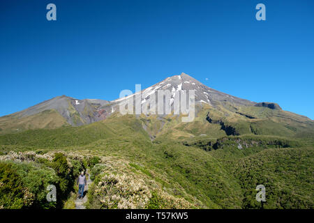 Homme randonnée dans le Mont Taranaki , Parc National d'Egmont, près de Stratford, côte ouest de l'Île du Nord, Nouvelle-Zélande Banque D'Images