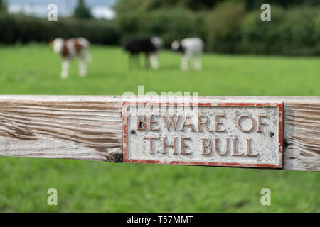Méfiez-vous du taureau signe sur gate avec des vaches/taureaux floues dans un champ derrière Banque D'Images