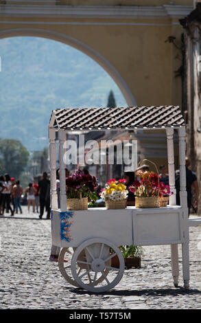 Panier de fleurs à Antigua Guatemala Banque D'Images