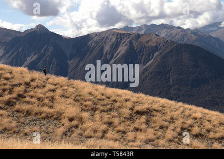 Épi Bealey, Arthur's Pass National Park, Nouvelle-Zélande, île du Sud Banque D'Images