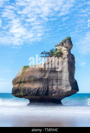 Te HOHO Rock, Cathedral Cove, près de Whitianga sur la péninsule de Coromandel, Île du Nord, Nouvelle-Zélande. C'est une attraction touristique majeure de la région. Banque D'Images