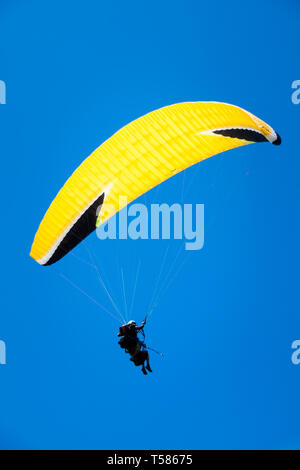 Instructeur de parapente voler avec le client en bleu ciel d'été Banque D'Images