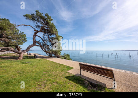 Baie d'Arcachon (France), village ostréicole de l'Herbe près de Cap Ferret Banque D'Images