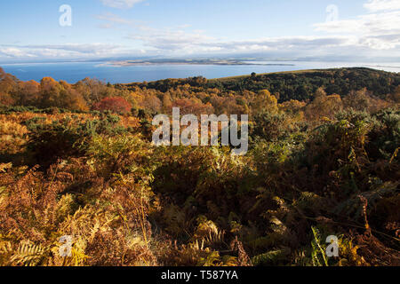 Vue sur la route de Moray Firth à Killen Ross Black Isle et Cromarty Scotland UK Octobre 2016 Banque D'Images