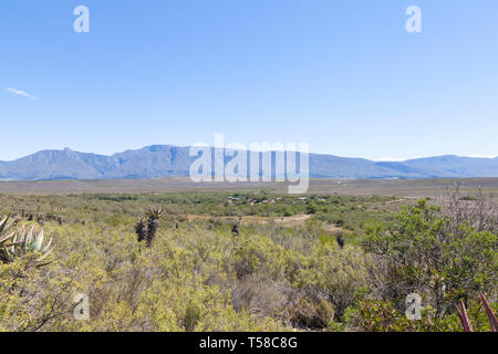 La végétation et les montagnes Renosterveld Riviersonderend avec camping et rest camp, Parc National de Bontebok, Swellendam, Western Cape, Afrique du Sud Banque D'Images