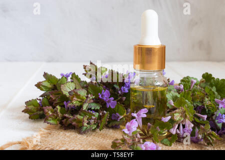 Bio huile dans un petit bocal en verre avec des feuilles vertes et des fleurs sur la table. L'huile essentielle naturelle de menthe. Banque D'Images