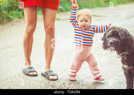 Jeune fille avec golden retriever marche loin au soleil Banque D'Images