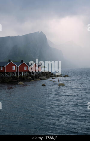 Le rouge Rorbu / cabines de pêcheurs et un Cormoran à Hamnoy village de pêcheurs et du paysage sur Moskenesøya dans les îles Lofoten Nordland en Norvège. Banque D'Images