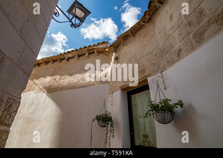 Deux plantes en pot vert grandir accroché dans deux pots de blanc autour de la porte de verre en Laterza, région des Pouilles, Italie du Sud en été, mur blanc arrière-plan et nuages blancs gonflées on blue sky Banque D'Images