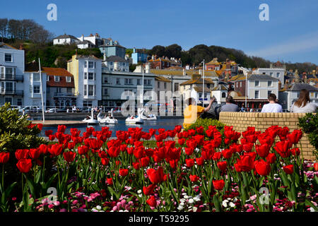 La vieille ville lac avec pédalos cygnes à Hastings, East Sussex, UK Banque D'Images