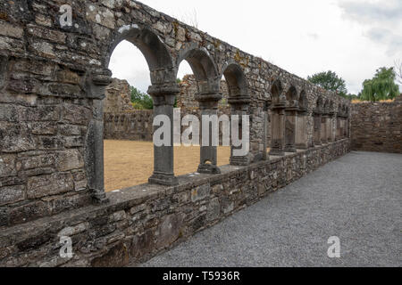 Cloître arcade dans l'abbaye de Jerpoint, une abbaye cistercienne, Thomastown, County Kilkenny, Irlande. Banque D'Images