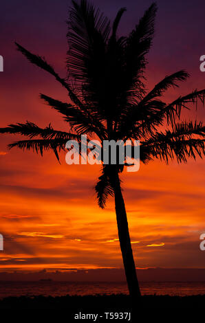 Un lever de soleil spectaculaire à Durban's South Beach s'allume le ciel en couleurs surréalistes. Banque D'Images