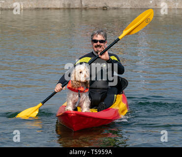 Il s'agit d'EIGG le Coker Spaniel avec har Papa, Kayak à Sandend dans l'Aberdeenshire, en Écosse, le samedi 20 avril 2019. Banque D'Images