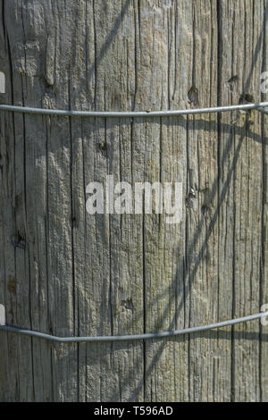 Entouré de fils de clôtures agricoles round large farm fencing post. Métaphore barrière artificielle, l'empêchant, restrictions, des facteurs contraignants, limites. Banque D'Images