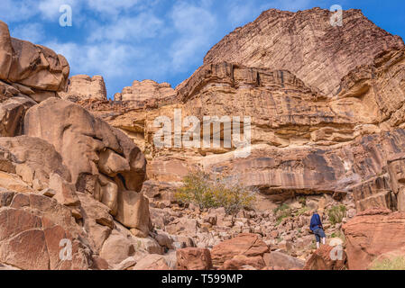 Rochers autour de Lawrence au printemps dans la vallée de Wadi Rum ou Vallée de la Lune en Jordanie Banque D'Images