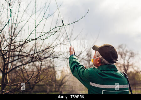 La pulvérisation avec de hauts arbres agriculteur manuel pulvérisateur de pesticides contre les insectes dans le jardin de printemps. Agriculture et jardinage concept Banque D'Images