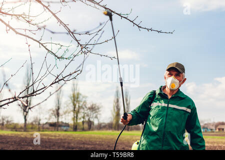 La pulvérisation avec de hauts arbres agriculteur manuel pulvérisateur de pesticides contre les insectes dans le jardin de printemps. Agriculture et jardinage concept Banque D'Images
