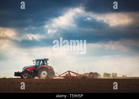 Agriculteur dans le tracteur pour préparer les terres avec cultivateur de semences Banque D'Images