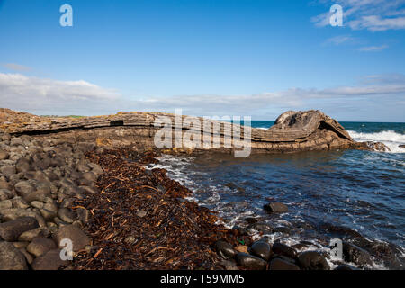 Graymare Rock une formation de roche calcaire plié sur Embleton Bay Banque D'Images