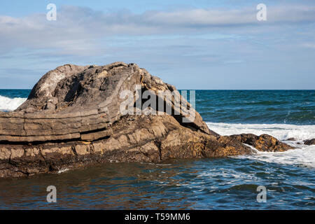 Graymare Rock une formation de roche calcaire plié sur Embleton Bay Banque D'Images