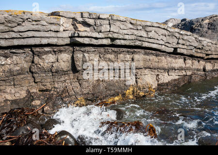 Graymare Rock une formation de roche calcaire plié sur Embleton Bay Banque D'Images