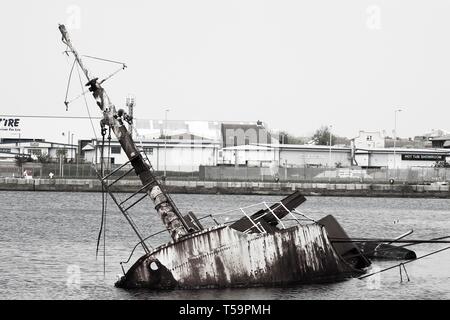Le navire de recherche sur les pêches a été construit en 1953 pour le National Marine Biological Association, avant l'entrée en propriété privée à la fin des années 1980. Malheureusement, le navire jusqu'à quai flottant est coula en mai 1998. Il reste un mystère comment le navire a coulé, mais certains croient que le robinet était volé, saborder le navire. Après son naufrage, Sarsia RV partielle a été laissé à se désintégrer peu à peu. Cependant, le voile a toujours un but, comme le navire de recherche de la pêche sert maintenant comme un refuge pour la vie marine. Banque D'Images