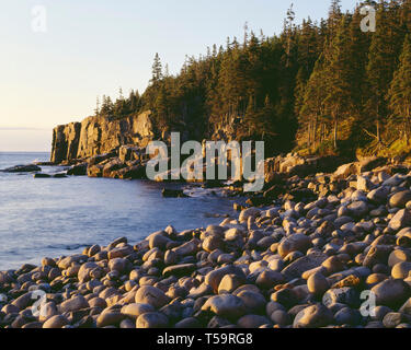 USA, le Maine, l'Acadia National Park, le lever du soleil la lumière sur les vagues rochers arrondis et Otter Cliffs. Banque D'Images