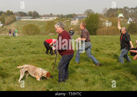 Cork, Irlande, le 22 avril, 2019. Lundi de Pâques Faites glisser Hunt, Killcully, Cork. Banque D'Images