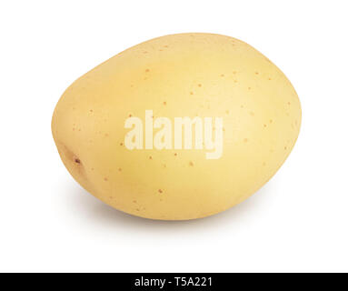 Pomme de terre jeune isolé sur fond blanc. Nouvelle récolte Banque D'Images