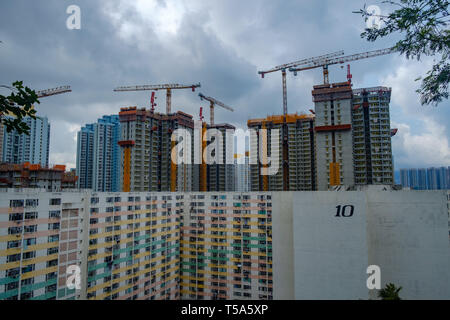 Les grues et les logements publics en construction derrière Pak Shek Kip dans Tin Mei, Hong Kong. Banque D'Images