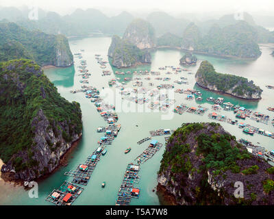 Vue aérienne de villages flottants autour de Cat Ba îles. Cat Ba est la plus grande des 366 îles qui forment l'extrémité sud-est de la Baie d'Ha Long i Banque D'Images