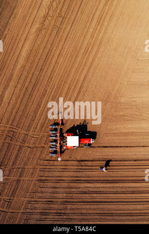 Vue aérienne de fermier et tracteur avec semoir récolte montée pendant la plantation du maïs au champ, vue du dessus Banque D'Images