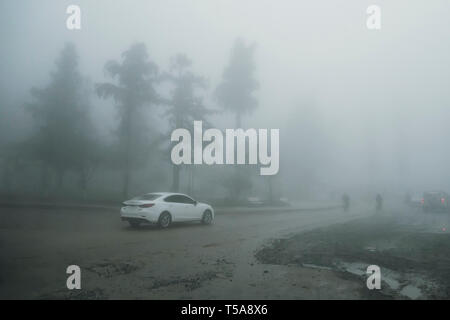 La mauvaise visibilité dans le brouillard sur la route. Location de voiture lentement dans des phénomènes météorologiques dangereux. Temps sombre. Concept de trafic Banque D'Images