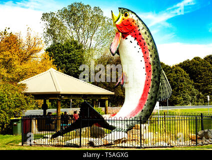 La grande Truite est une attraction touristique majeure à l'Adaminaby, un petit village dans les montagnes enneigées de l'Australie Banque D'Images