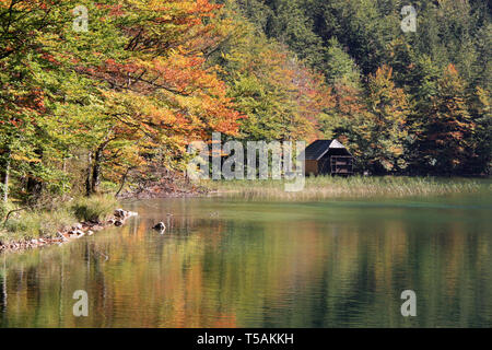 Vue panoramique d'un hangar à bateaux en bois au bord de l'eau du Langbathsee Ferienwohnungen Hillbrand, OÖ, Autriche avec la forêt le coloré reflétant sur l'eau Banque D'Images