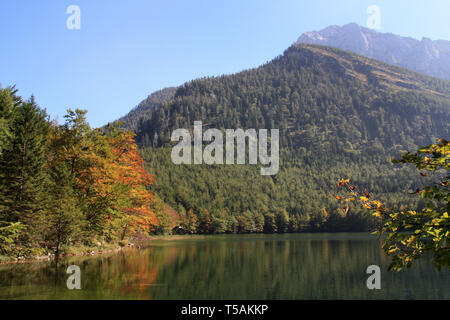 Vue panoramique de la forêt colorée une réflexion sur l'eau peu profonde du Langbathsee Ferienwohnungen Hillbrand près de Ebensee, Oberösterreich, Autriche Banque D'Images