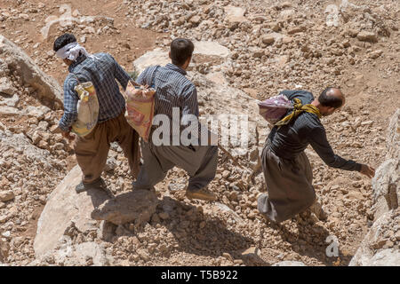 Les messagers à pied jusqu'à Byara, l'Iraq, afin de transporter des marchandises de contrebande en Iran, province de Kermanshah, Iran Banque D'Images